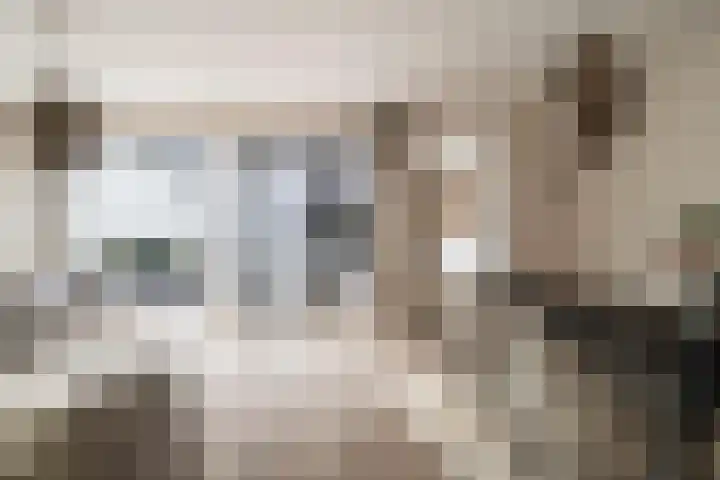 Goudenregenstraat 77 Capelle aan den IJssel thumbnail 15