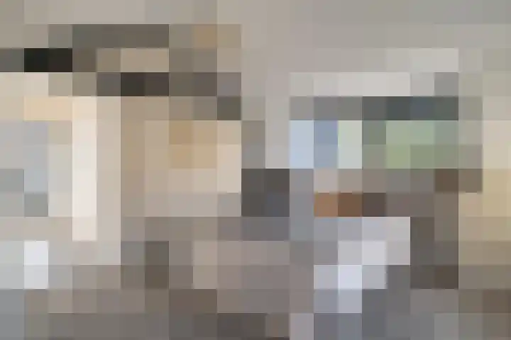 Goudenregenstraat 77 Capelle aan den IJssel thumbnail 33