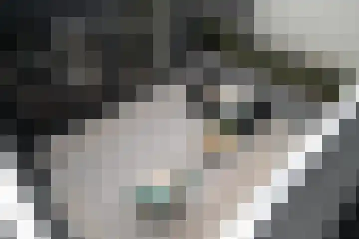 Goudenregenstraat 77 Capelle aan den IJssel thumbnail 4