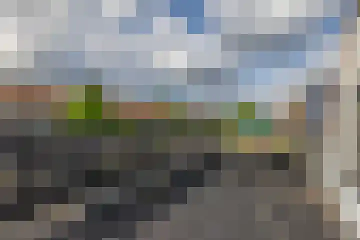 Goudenregenstraat 77 Capelle aan den IJssel thumbnail 43