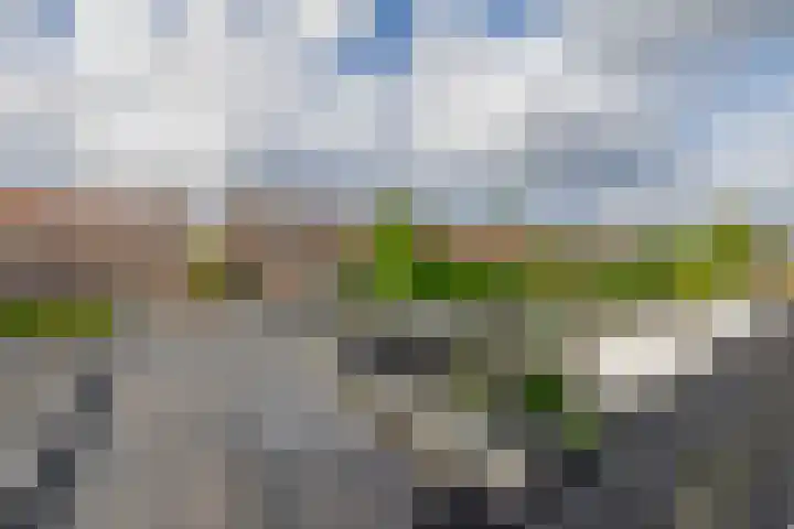 Goudenregenstraat 77 Capelle aan den IJssel thumbnail 48