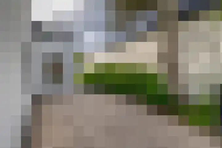 Goudenregenstraat 77 Capelle aan den IJssel thumbnail 5