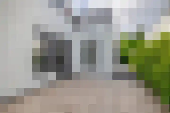 Goudenregenstraat 77 Capelle aan den IJssel thumbnail 6