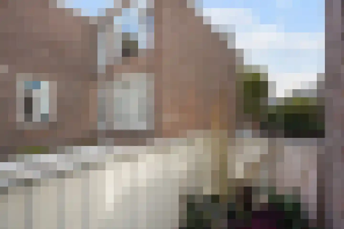 Goudenregenstraat 79 Den Haag thumbnail 4