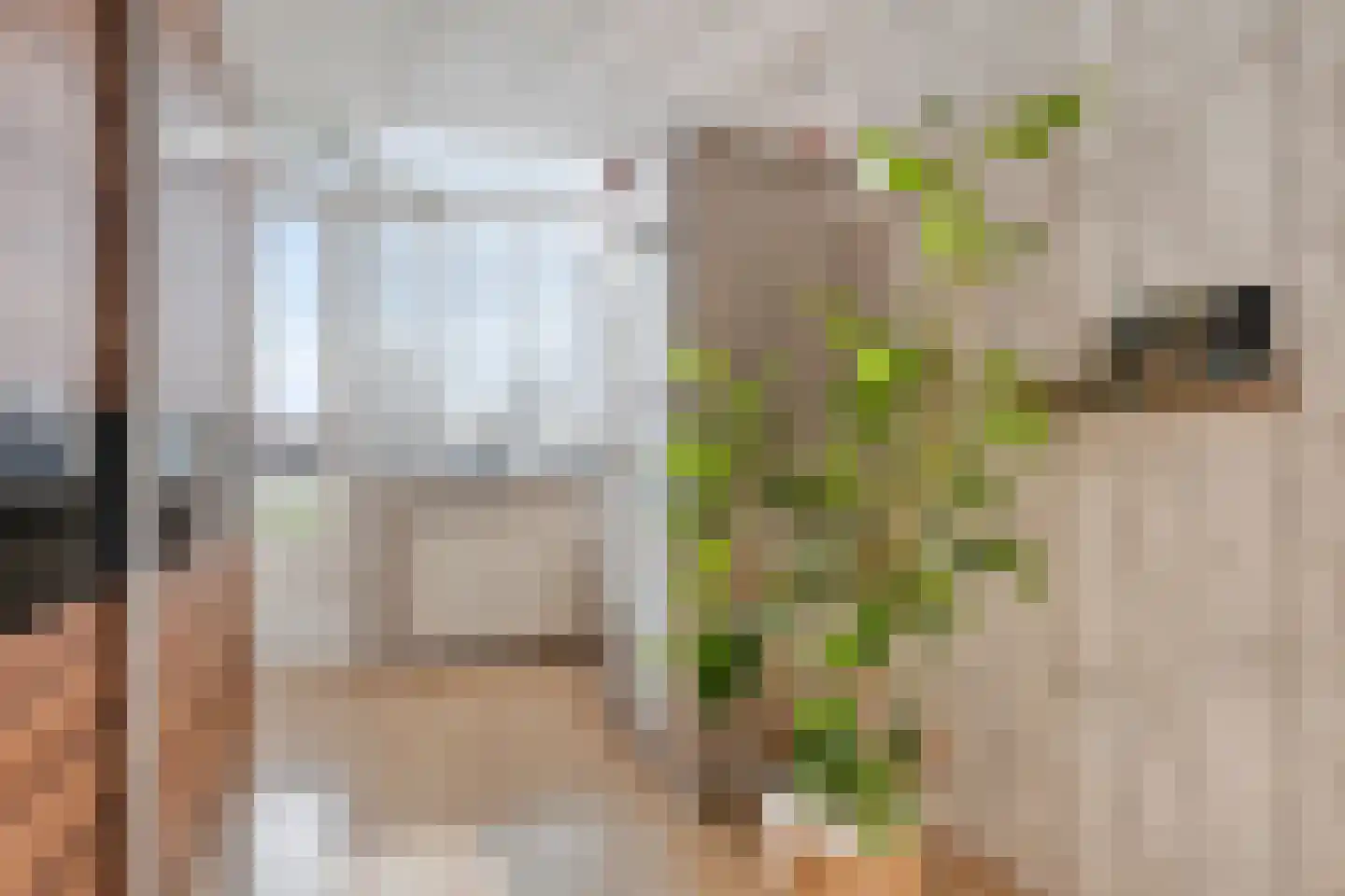 Goudenregenstraat 81 Purmerend thumbnail 31