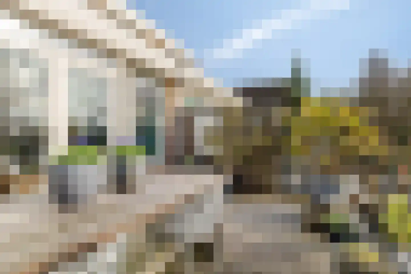 Goudenregenstraat 81 Purmerend thumbnail 37