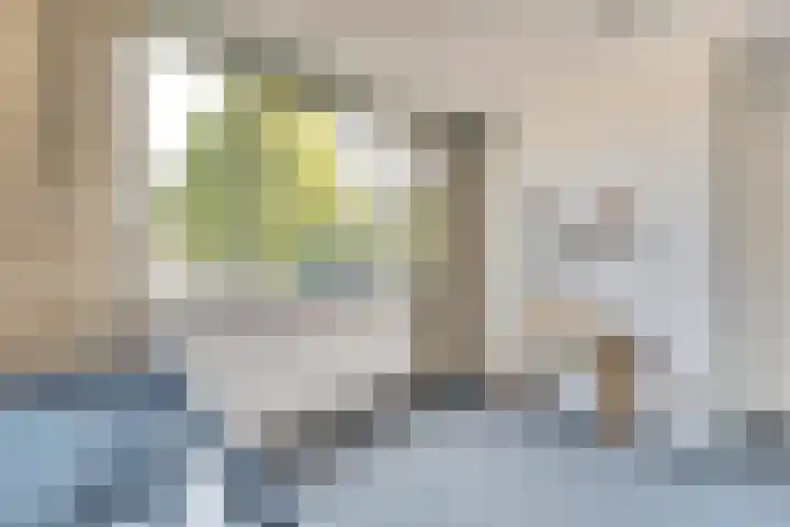 Goudenregenstraat 87 Borne thumbnail 23