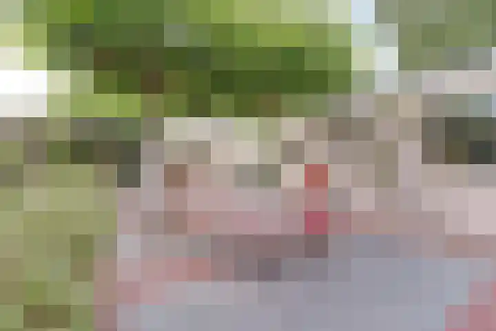 Goudenregenstraat 87 Borne thumbnail 30
