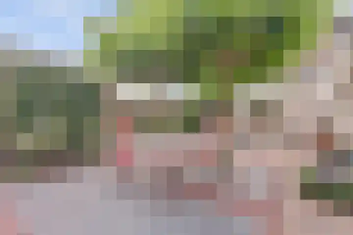 Goudenregenstraat 87 Borne thumbnail 31