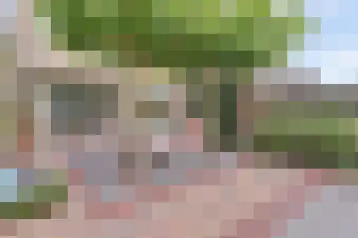 Goudenregenstraat 87 Borne thumbnail 32