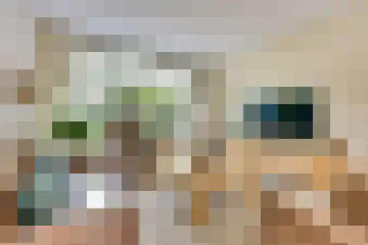 Goudenregenstraat 87 Borne thumbnail 8