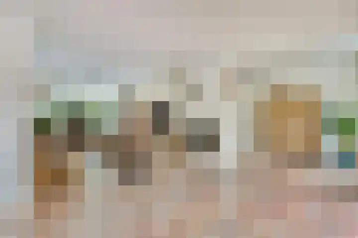 Goudenregenstraat 87 Borne thumbnail 9