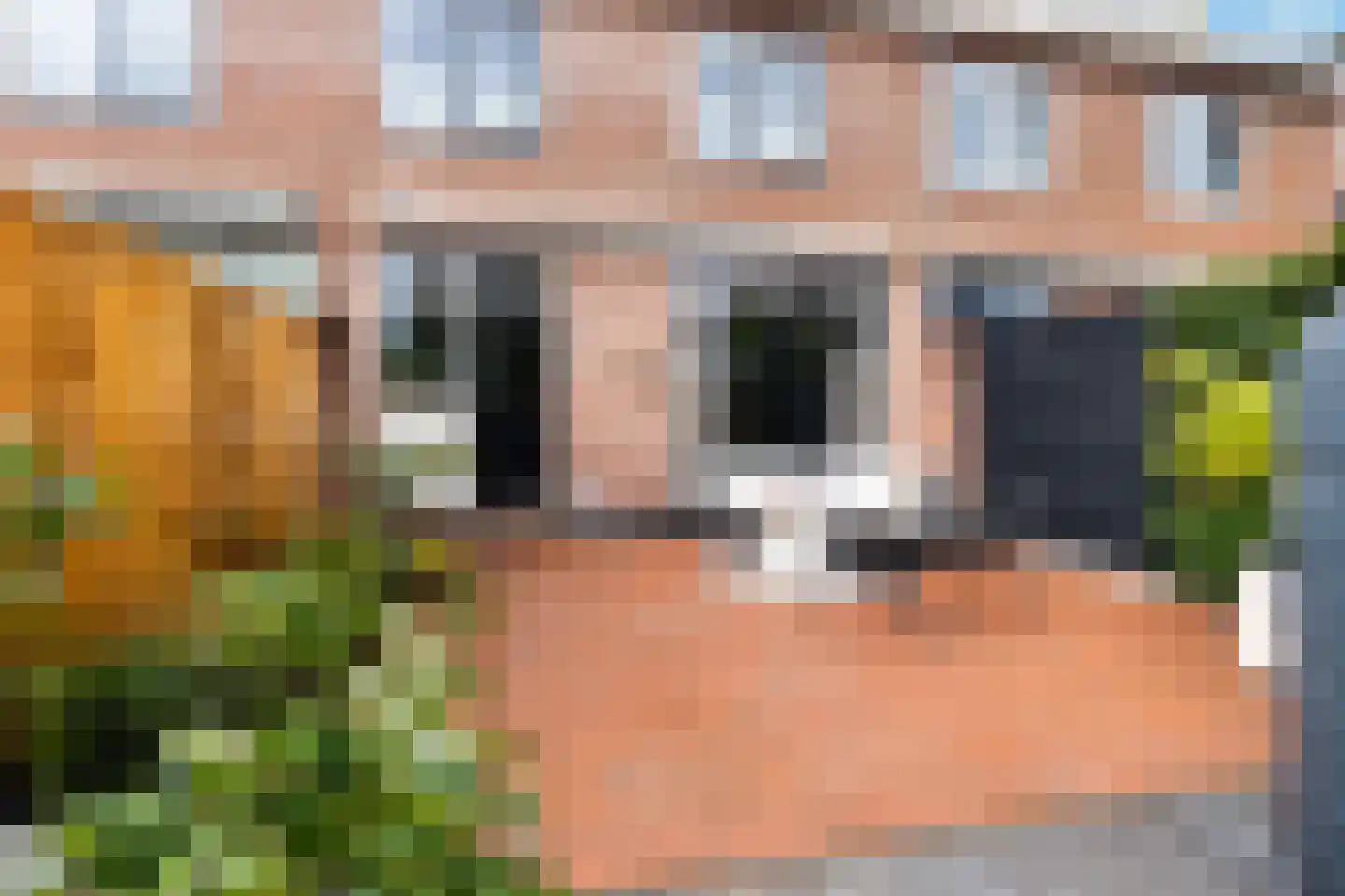 Goudenregenstraat 9 Bergambacht thumbnail 16