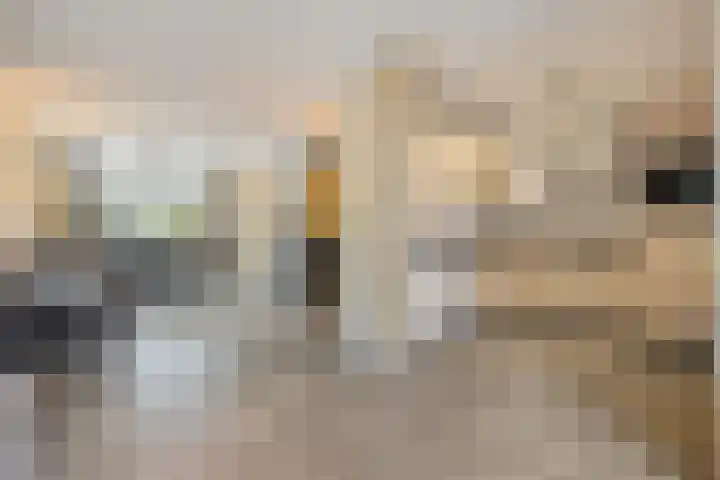 Goudenregenstraat 9 Opheusden thumbnail 10