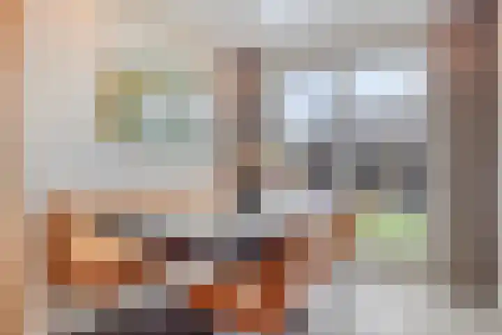 Goudenregenstraat 9 Opheusden thumbnail 9