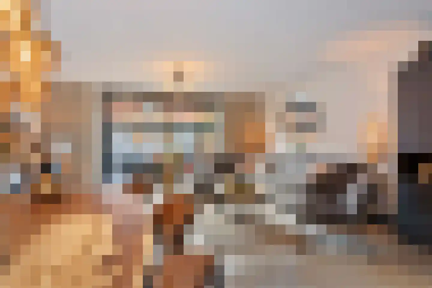 Goudenregenzoom 119 Zoetermeer thumbnail 12