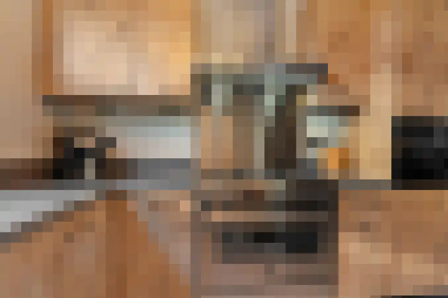 Goudenregenzoom 119 Zoetermeer thumbnail 16