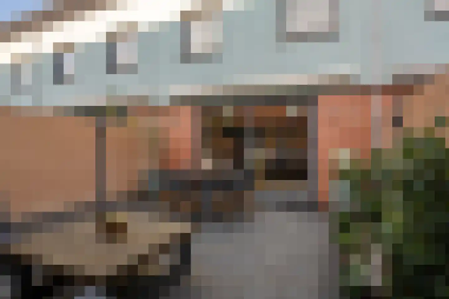 Goudenregenzoom 119 Zoetermeer thumbnail 24