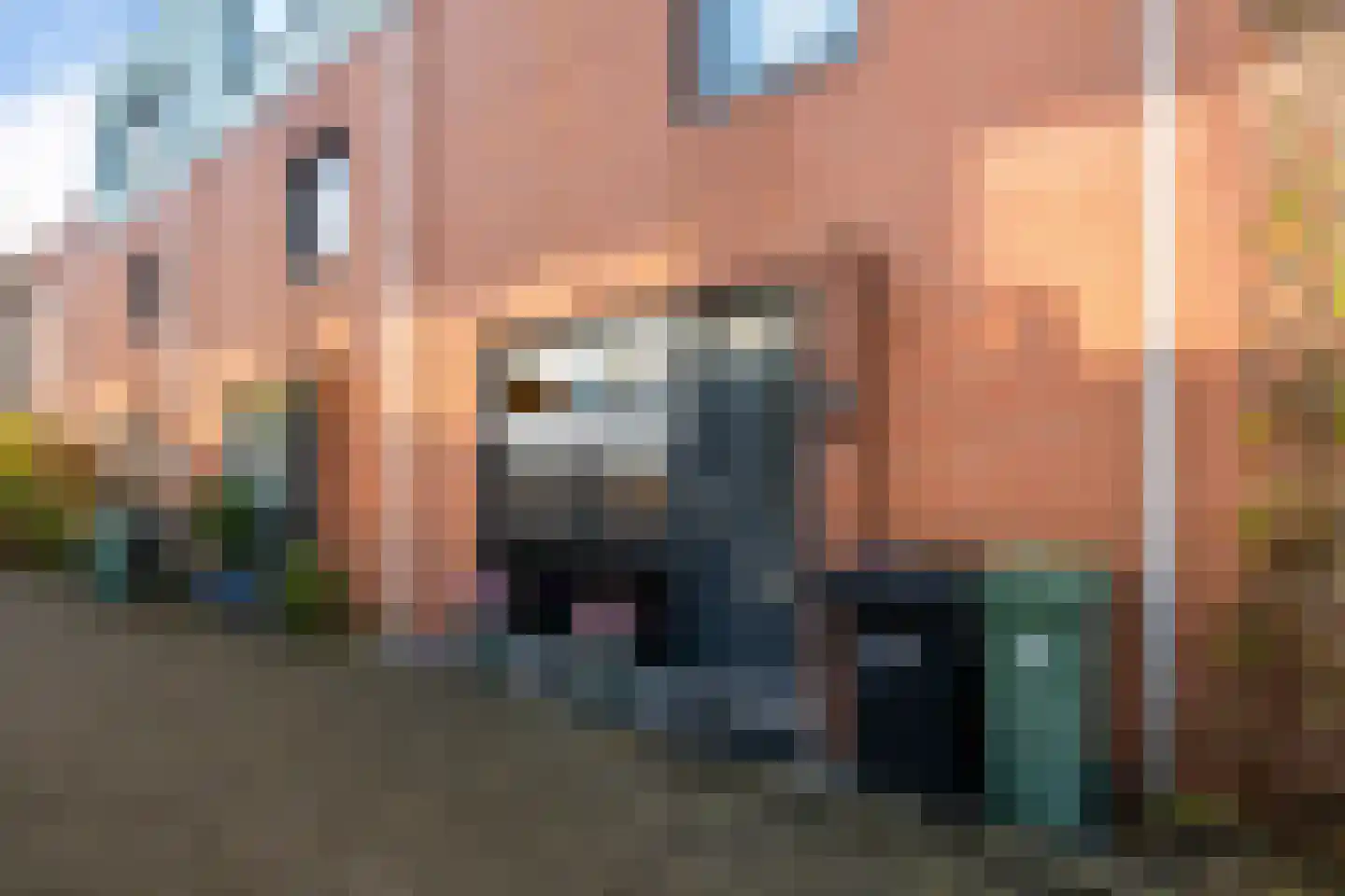 Goudenregenzoom 119 Zoetermeer thumbnail 6