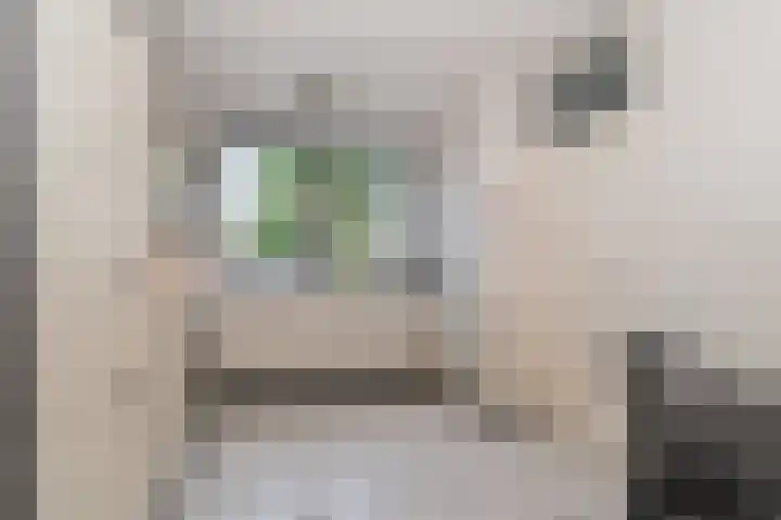 Goudenregenzoom 164 Zoetermeer thumbnail 10