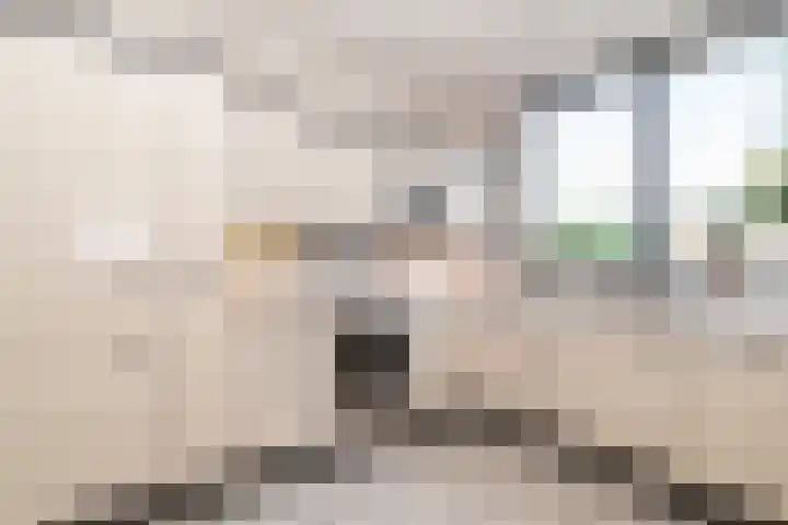 Goudenregenzoom 164 Zoetermeer thumbnail 11