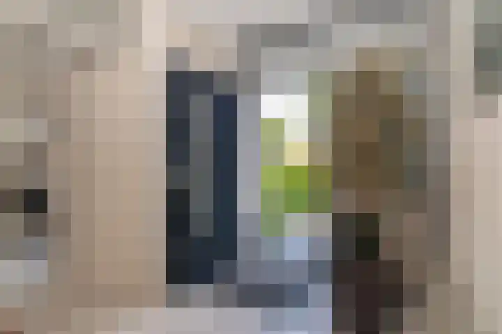 Goudenregenzoom 164 Zoetermeer thumbnail 14