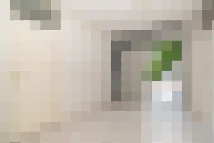 Goudenregenzoom 164 Zoetermeer thumbnail 16