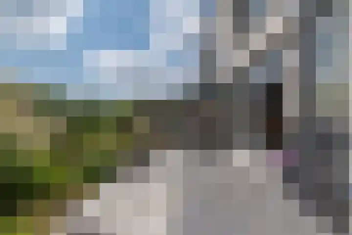 Goudenregenzoom 164 Zoetermeer thumbnail 18