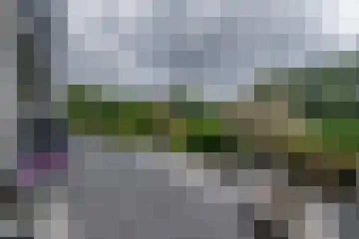 Goudenregenzoom 164 Zoetermeer thumbnail 19