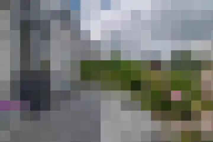 Goudenregenzoom 164 Zoetermeer thumbnail 20