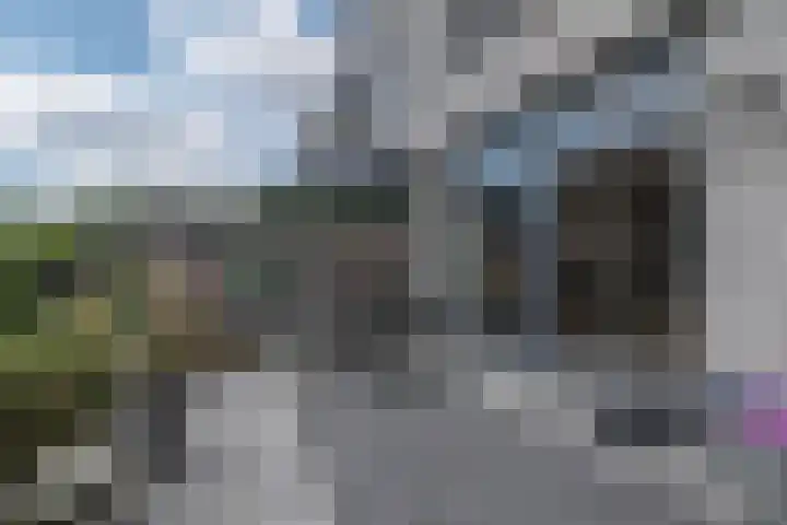 Goudenregenzoom 164 Zoetermeer thumbnail 21