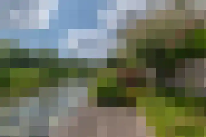 Goudenregenzoom 164 Zoetermeer thumbnail 23