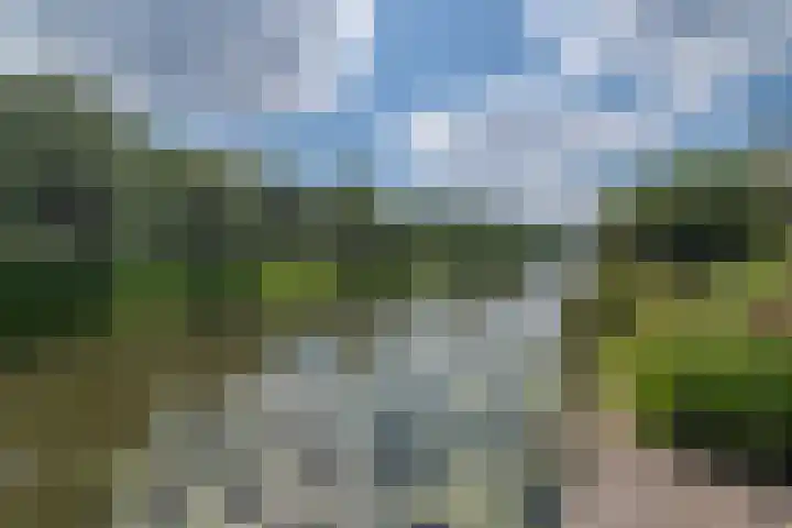 Goudenregenzoom 164 Zoetermeer thumbnail 24