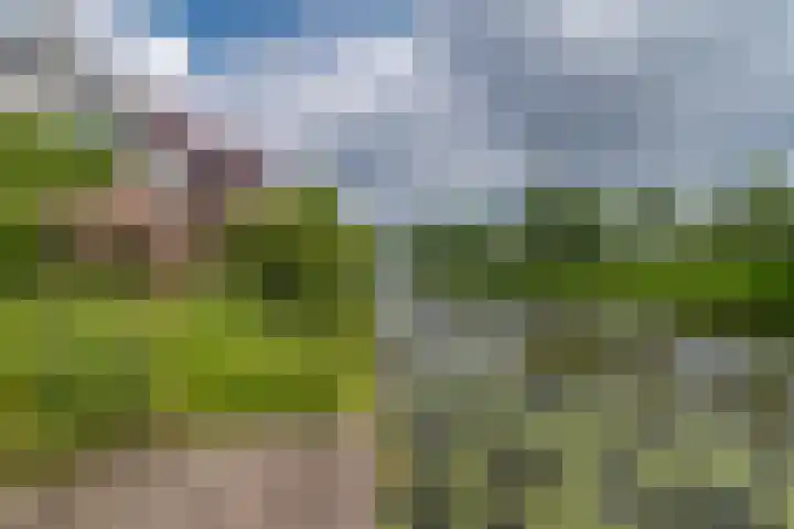 Goudenregenzoom 164 Zoetermeer thumbnail 25