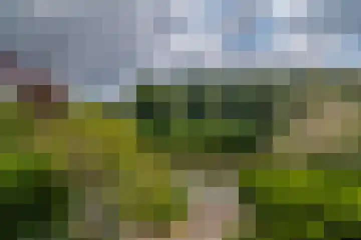 Goudenregenzoom 164 Zoetermeer thumbnail 26