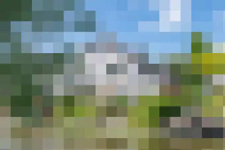Goudenregenzoom 164 Zoetermeer thumbnail 27