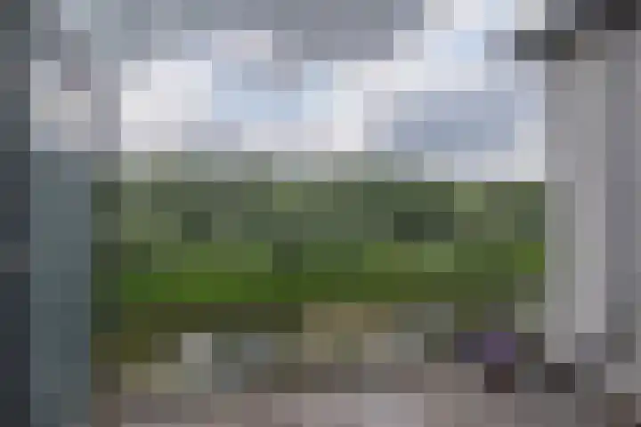 Goudenregenzoom 164 Zoetermeer thumbnail 35