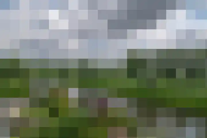 Goudenregenzoom 164 Zoetermeer thumbnail 37