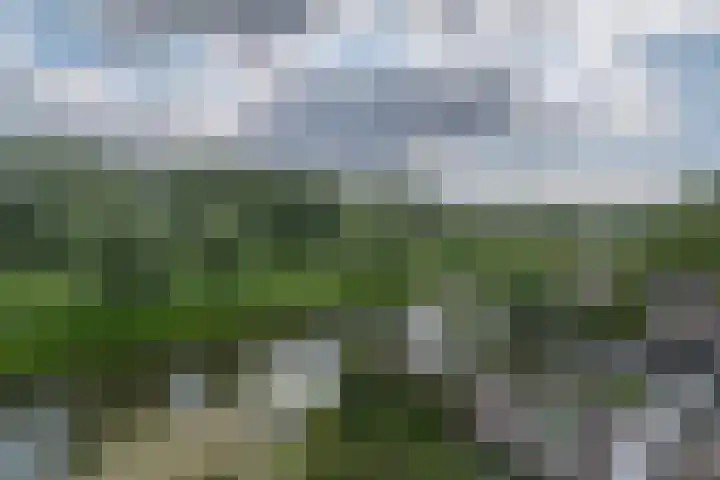 Goudenregenzoom 164 Zoetermeer thumbnail 38