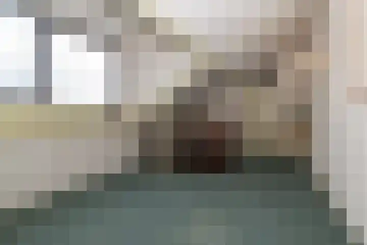 Goudenregenzoom 164 Zoetermeer thumbnail 47
