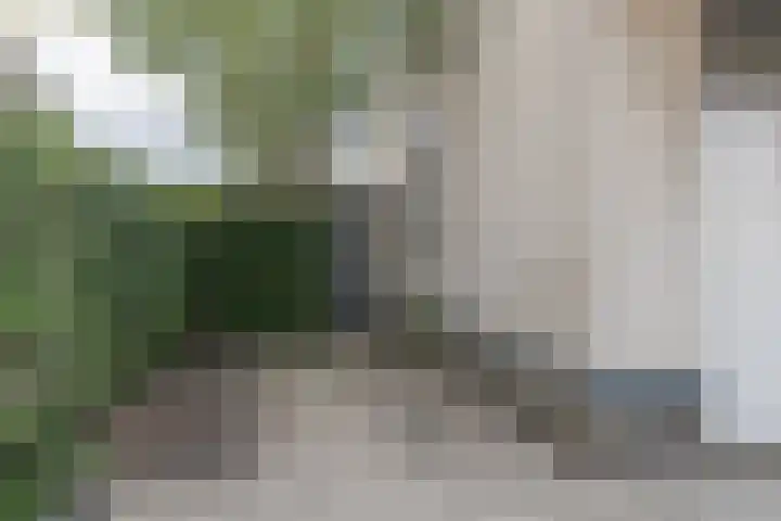 Goudenregenzoom 164 Zoetermeer thumbnail 52
