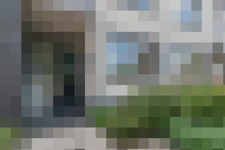 Goudenregenzoom 164 Zoetermeer thumbnail 53