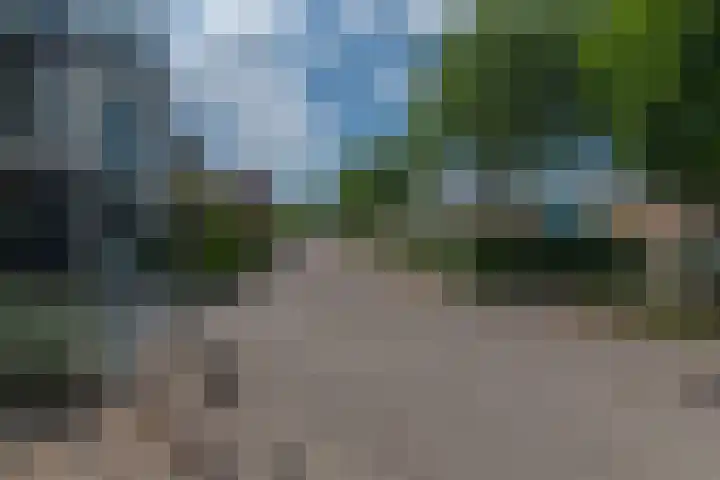 Goudenregenzoom 164 Zoetermeer thumbnail 56
