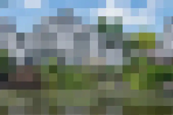 Goudenregenzoom 164 Zoetermeer thumbnail 57