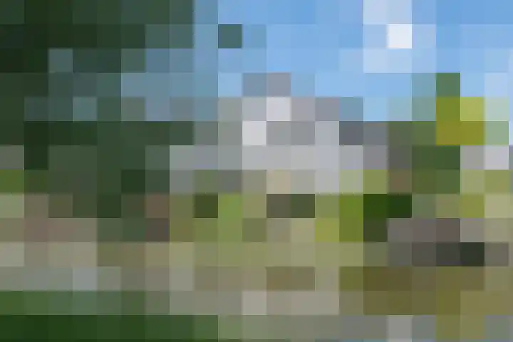 Goudenregenzoom 164 Zoetermeer thumbnail 58
