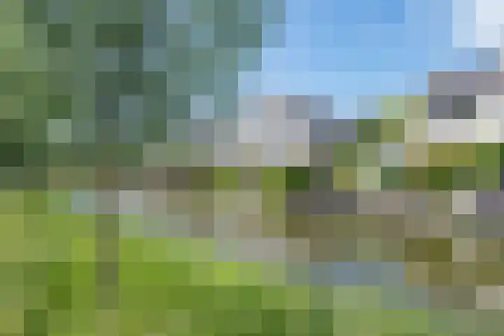 Goudenregenzoom 164 Zoetermeer thumbnail 59