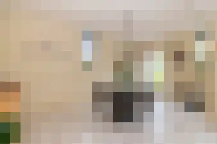 Goudenregenzoom 164 Zoetermeer thumbnail 6