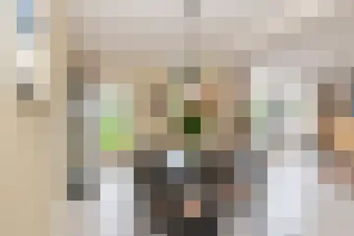 Goudenregenzoom 164 Zoetermeer thumbnail 8