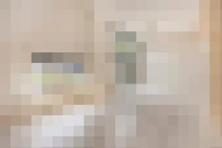 Goudenregenzoom 184 Zoetermeer thumbnail 10