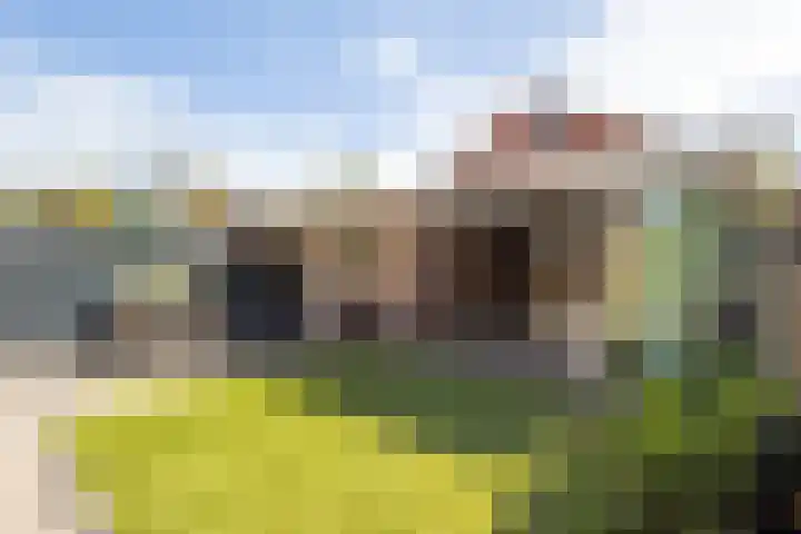 Goudenregenzoom 184 Zoetermeer thumbnail 11